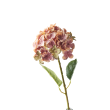 519207-pack_a.png
