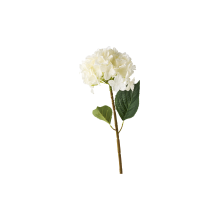 519207-pack_a.png