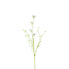 521254-003_pack_a.png