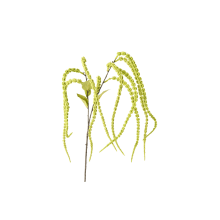 522505-pack_a.png