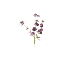 522506-pack_a.png