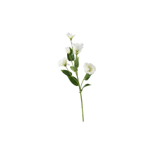 522508-pack_a.png